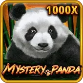 Mysterious Panda