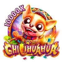 Chillihuahua